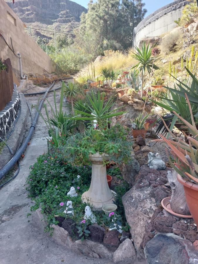 דירות Mogán El Palmito 2 מראה חיצוני תמונה